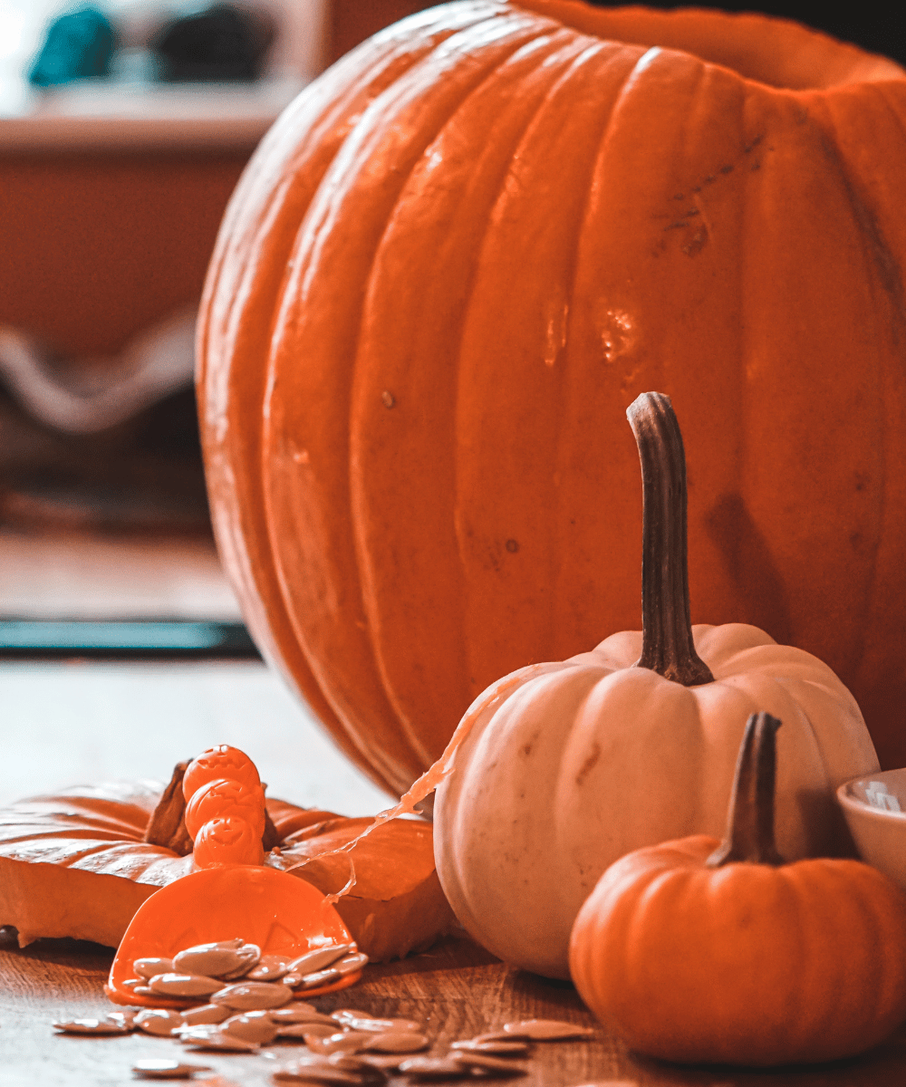 Pumpkin Carving: History, Creative Ideas & Best Tools for a Spooky Halloween